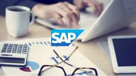 SAP for Beginners - Comprehensive Guide 2016