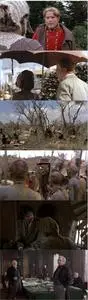 Mountains of the Moon (1990)