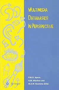Multimedia Databases in Perspective