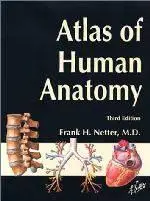 Netter Atlas Of Human Anatomy