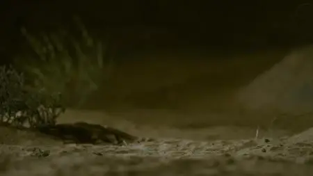 Dead by Dawn S01E02