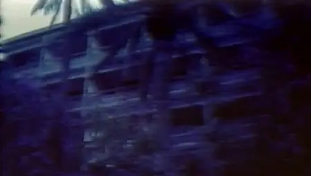 Les ebranlées / Vibrating Girls (1972)