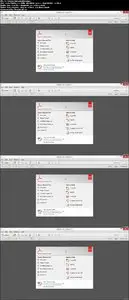 Mastering Adobe Acrobat XI Made Easy Training Tutorial