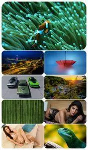 Beautiful Mixed Wallpapers Pack 585