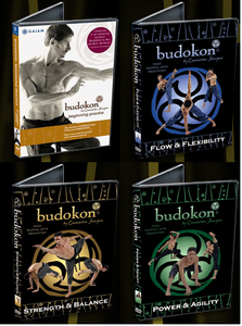 Cameron Shayne - Budokon DVD Set (2007)
