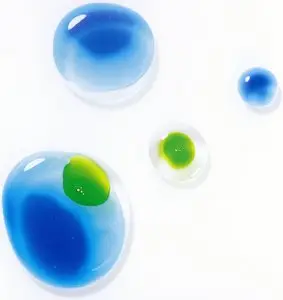 S.E.N.S. - Tomei na Ongaku (Transparent Music) (2000)