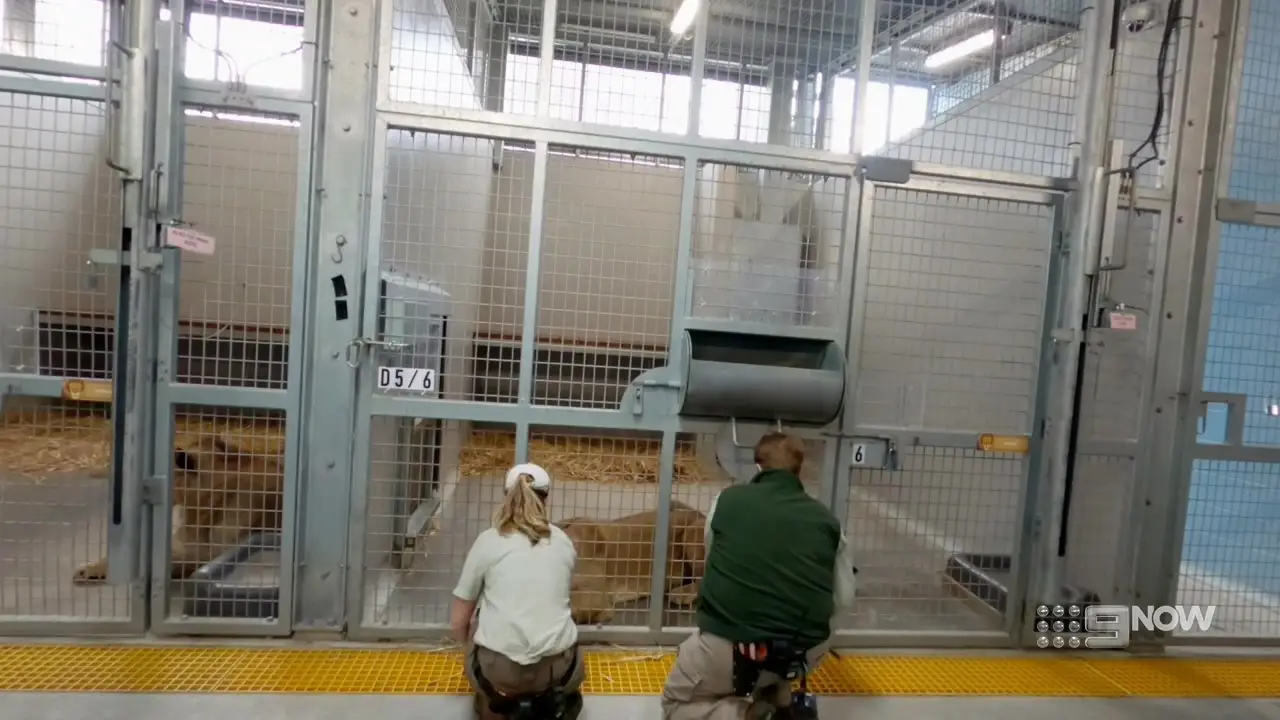Zoo S04E08