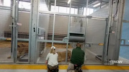 Zoo S04E08