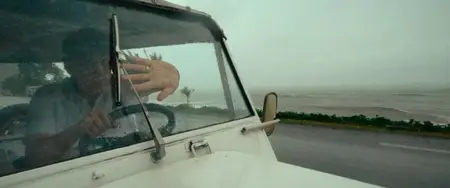 Waltzing with Brando (2024)