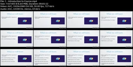 Lightning Web Component Development