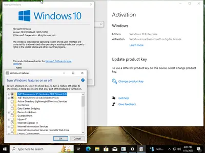 Windows 10 22H2 build 19045.5371 AIO 16in1 Multilingual Preactivated January 2025