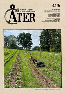 Åter - 13 Augusti 2025
