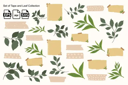 EE - Set of Tape and Leaf Collection NENMCCR