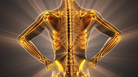 The Key Dynamic Segmental Stability: