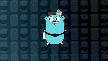 Golang Explained: From Zero To Expert!