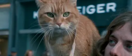 A Street Cat Named Bob (2016)