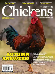 Chickens - September-October 2025