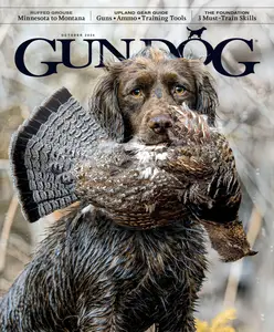 Gun Dog - October 2024