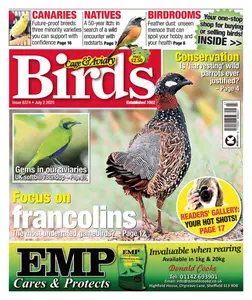 Cage & Aviary Birds - 2 July 2025
