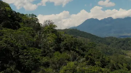 PBS - NOVA: Human Journeys (2025)