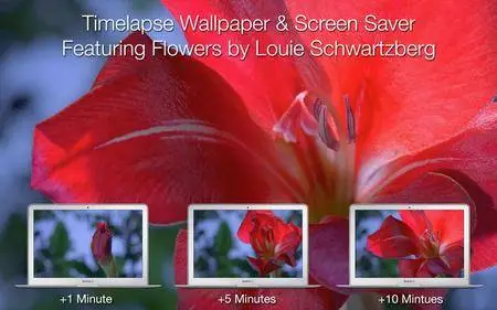 Magic Flowers 2.1 Mac OS X