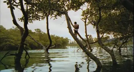 City of God / Cidade de Deus (2002)