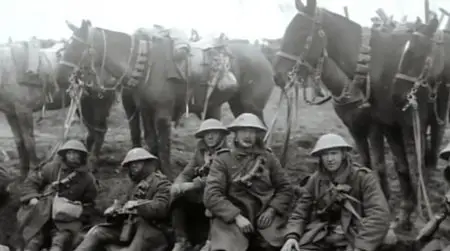 Channel 4 - War Horse: The Real Story (2012)