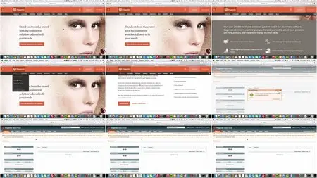 How to become an e-commerce guru! - the complete guide