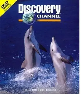 Discovery Channdel - Dolphins: The Ultimate Guide