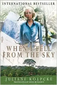 When I Fell From the Sky (Repost)