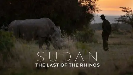 BBC Natural World - Sudan: The Last of the Rhinos (2017)