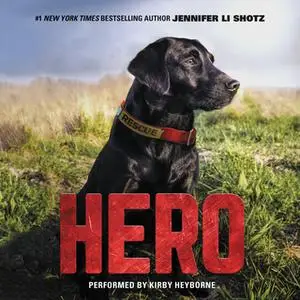 «Hero» by Jennifer Li Shotz