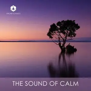 VA - The Sound of Calm (2022) [Official Digital Download 24/96]