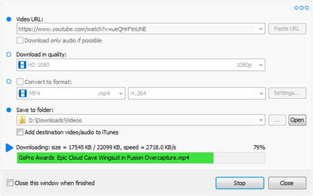 Robin YouTube Video Downloader Pro 6.7.3 Portable