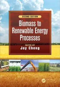 Biomass to Renewable Energy Processes 2nd Edition (Instructor Resources)