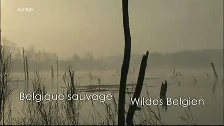 (Arte) Belgique Sauvage (2011)