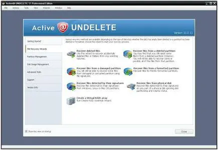 Active Undelete 11.0.11 Professional Corporate