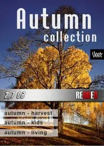 Autumn Collection