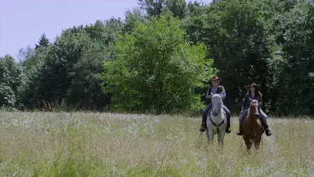 Midnight Stallion (2013)