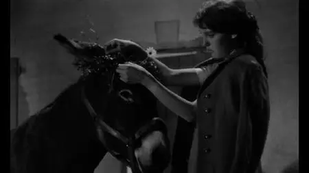 Au hasard Balthazar (1966) [Criterion Collection]