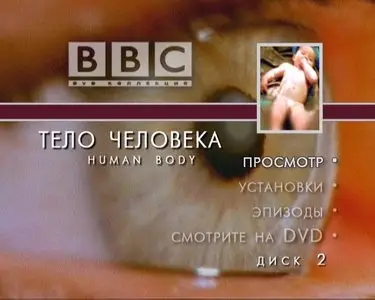 BBC - The Human Body