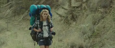 Wild / Дикая (2014)