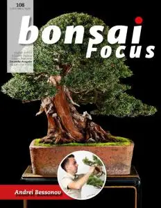 Bonsai Focus (German Edition) - März-April 2021