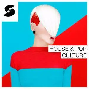 Samplephonics House and Pop Culture MULTiFORMAT