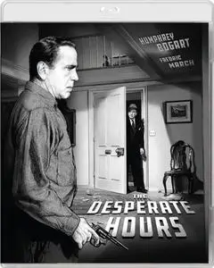 The Desperate Hours (1955)