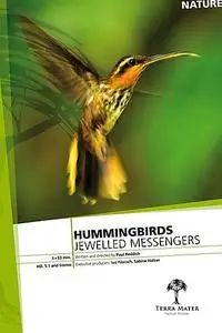 Hummingbirds Jewelled Messengers (2012)