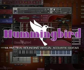 Prominy Hummingbird Acoustic Guitar KONTAKT