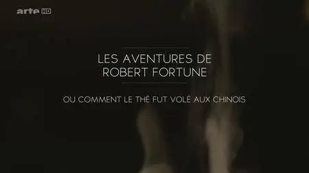 (Arte) Les aventures de Robert Fortune, ou comment le thé fut volé aux Chinois (2016)