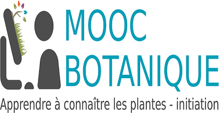 MOOC Botanique Apprendre à connaître les plantes Initiation (2016)