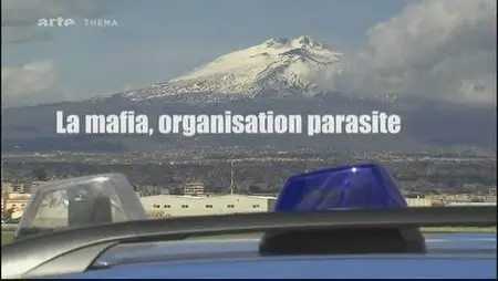 La mafia : une organisation parasite (2012)